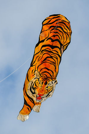 Chinese Tiger Kite