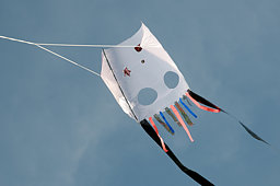 sled kite