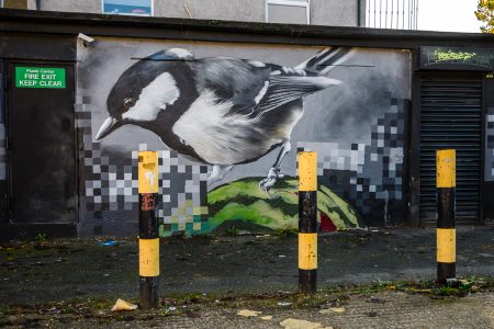 Pied Wagtail by Aspire, Evalina Road