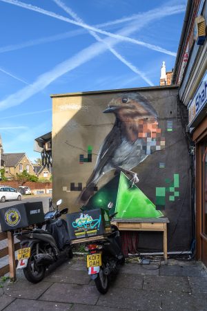 Robin by Aspire, Maple Road